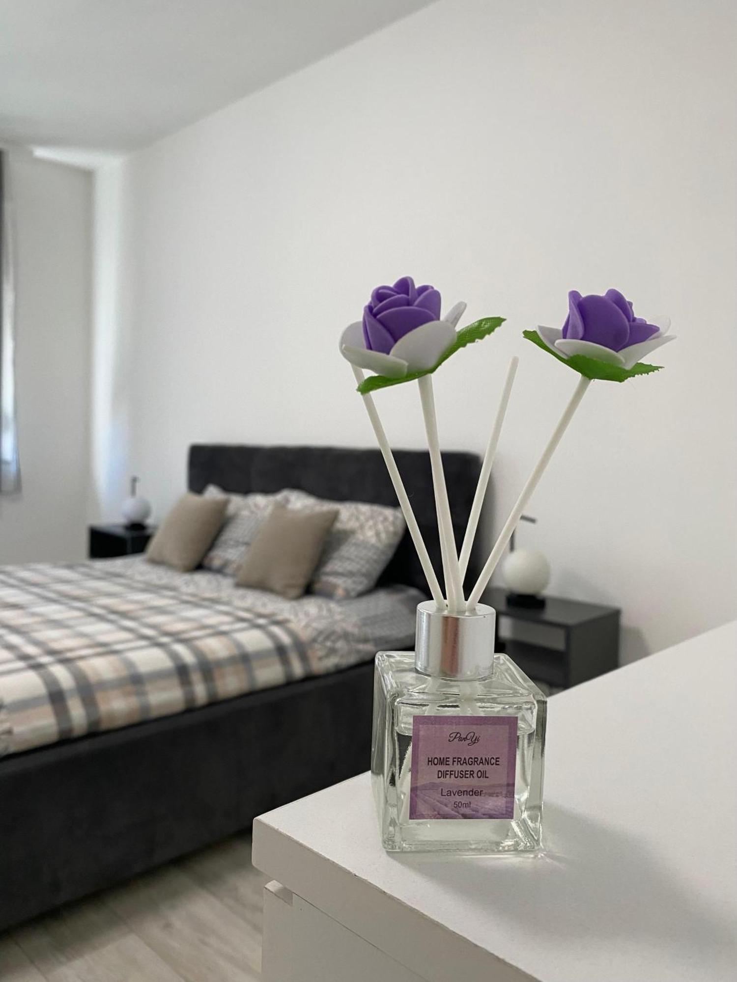 Grand Royal Daire Belgrad Dış mekan fotoğraf